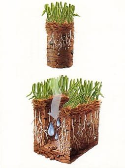 Aeration plug
