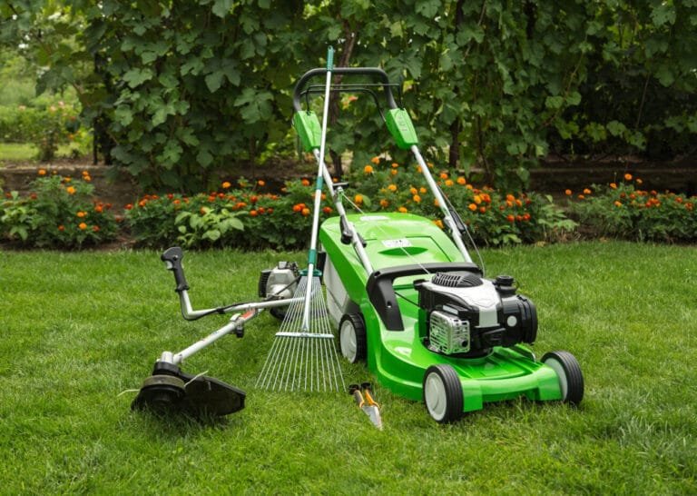 Lawn Improvement Equipment: All the essential equipment you need for proper lawn maintenance