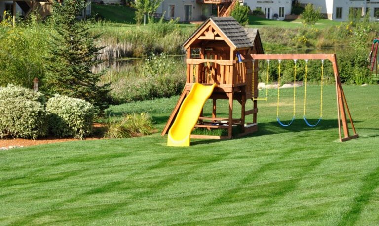 Summer Lawn Care - backyard fun