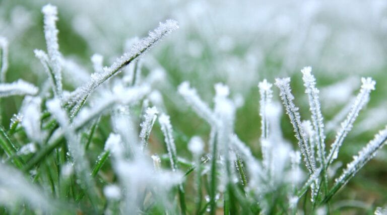 Salt and Ice melt