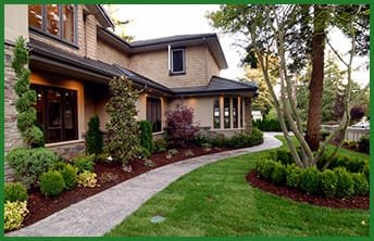 lawn with tree and shrub care