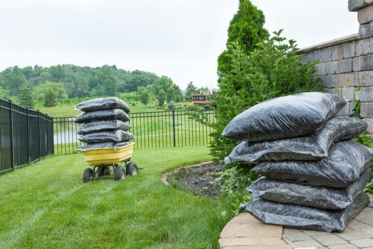 Spring Lawn Renovation Oakville lawn
