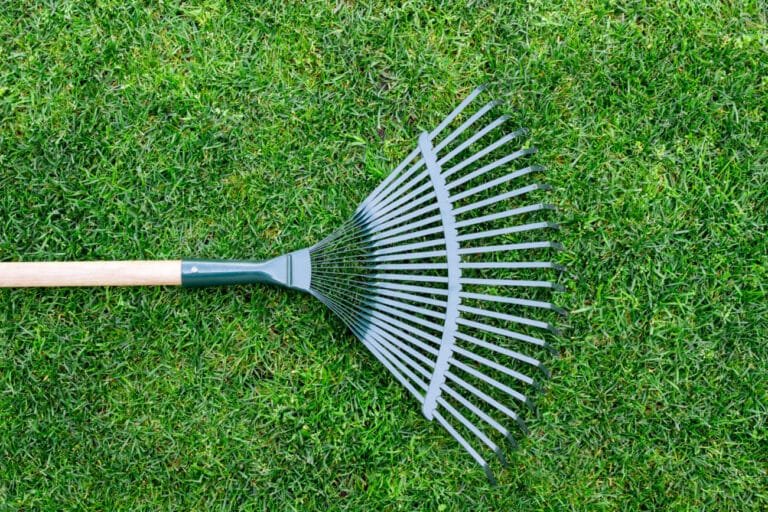 best way to rake leaves 5 different types of rakes