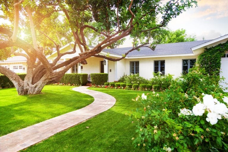 Best lawn on the block