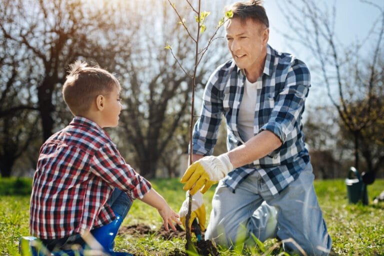 Tree Planting Tips