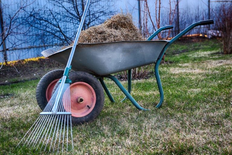 lawn dethatcher rake