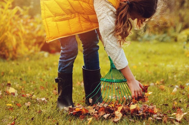 fall weed control