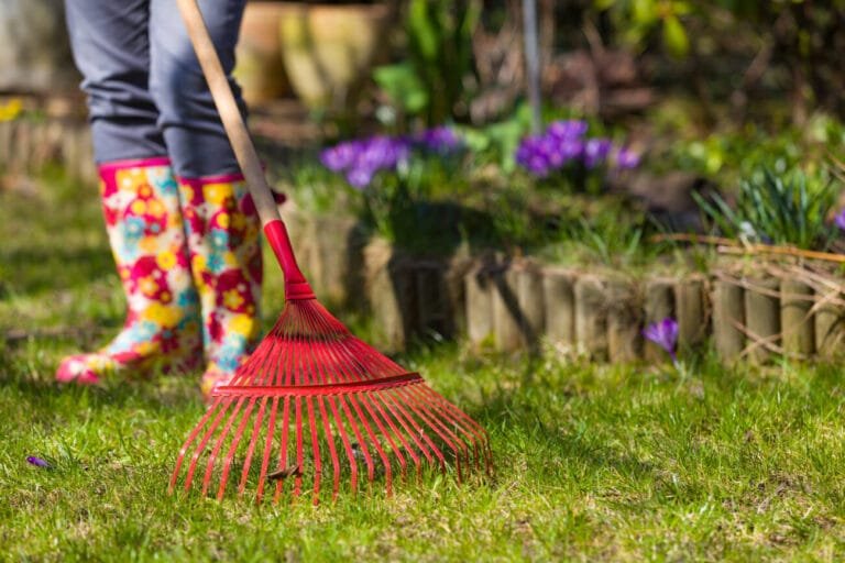 Spring yard clean up