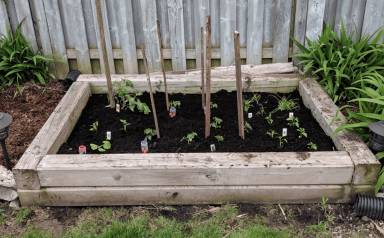 Vegetable Garden