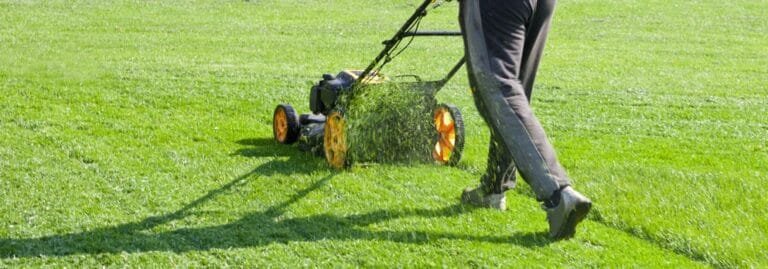 Lawn Cutting