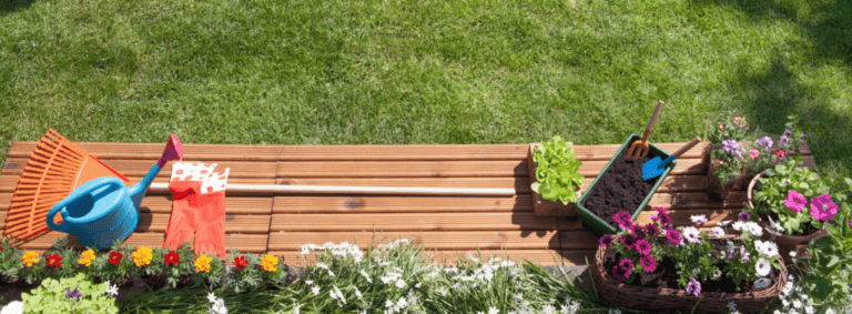Spring lawn care tips