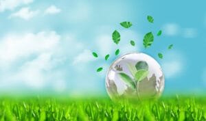 Burlington environment