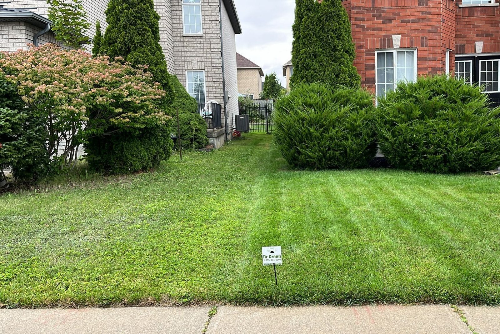 oakville weed control